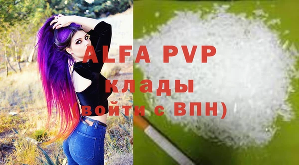 гашик Россошь
